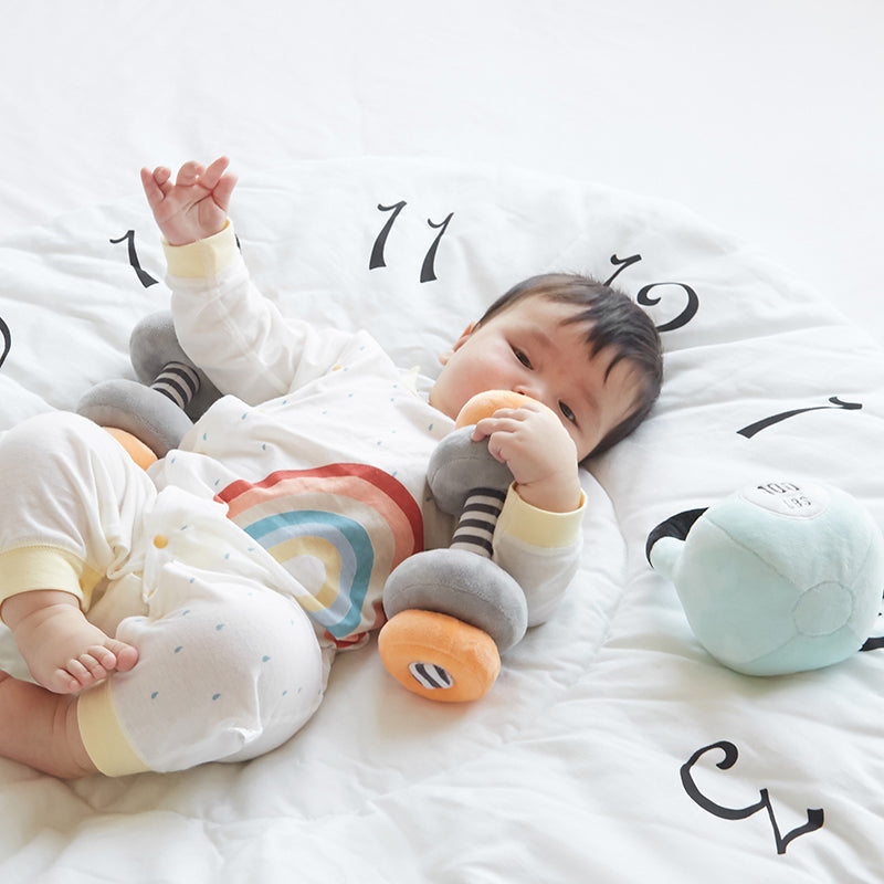 Little Lifter Plush Weights